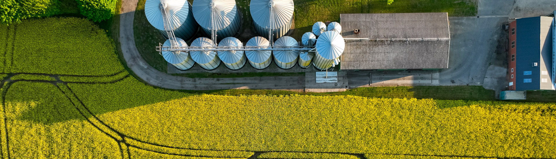 Beinat lance sa ligne Green : les détecteurs de gaz écologiques sont désormais disponibles en ligne